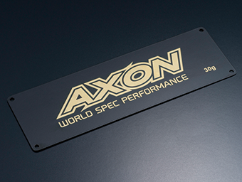 Axon Battery Brass Weight 30g (1) - PG-WB-030