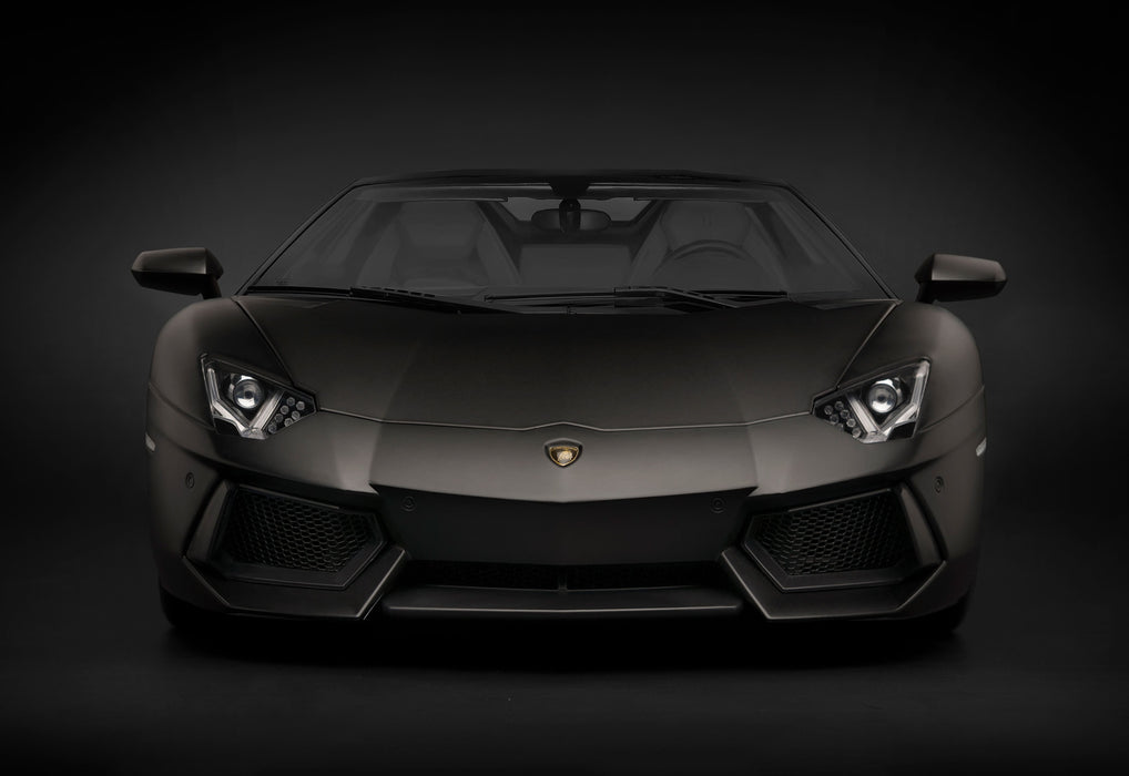 Pocher Lamborghini Aventador LP700-4 Roadster Nero Nemesis