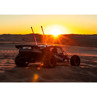 Traxxas Pro Scale X-Series Sand Car - 109076-4 - RCXX - RC Racing Shop | RC Models | Tuning & Spare Parts for Professionals